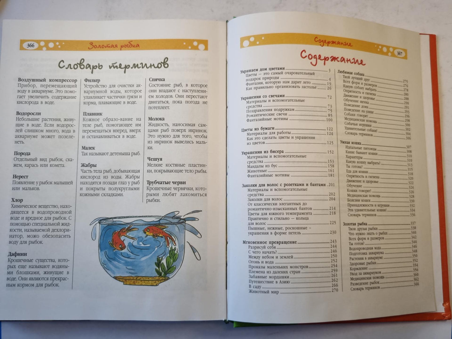 Все для девочек. Хозяйка в доме