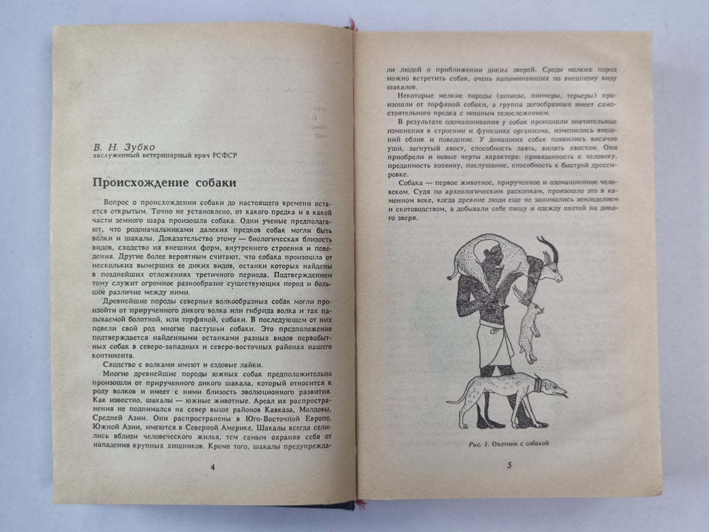 Всё о собаке. Сборник