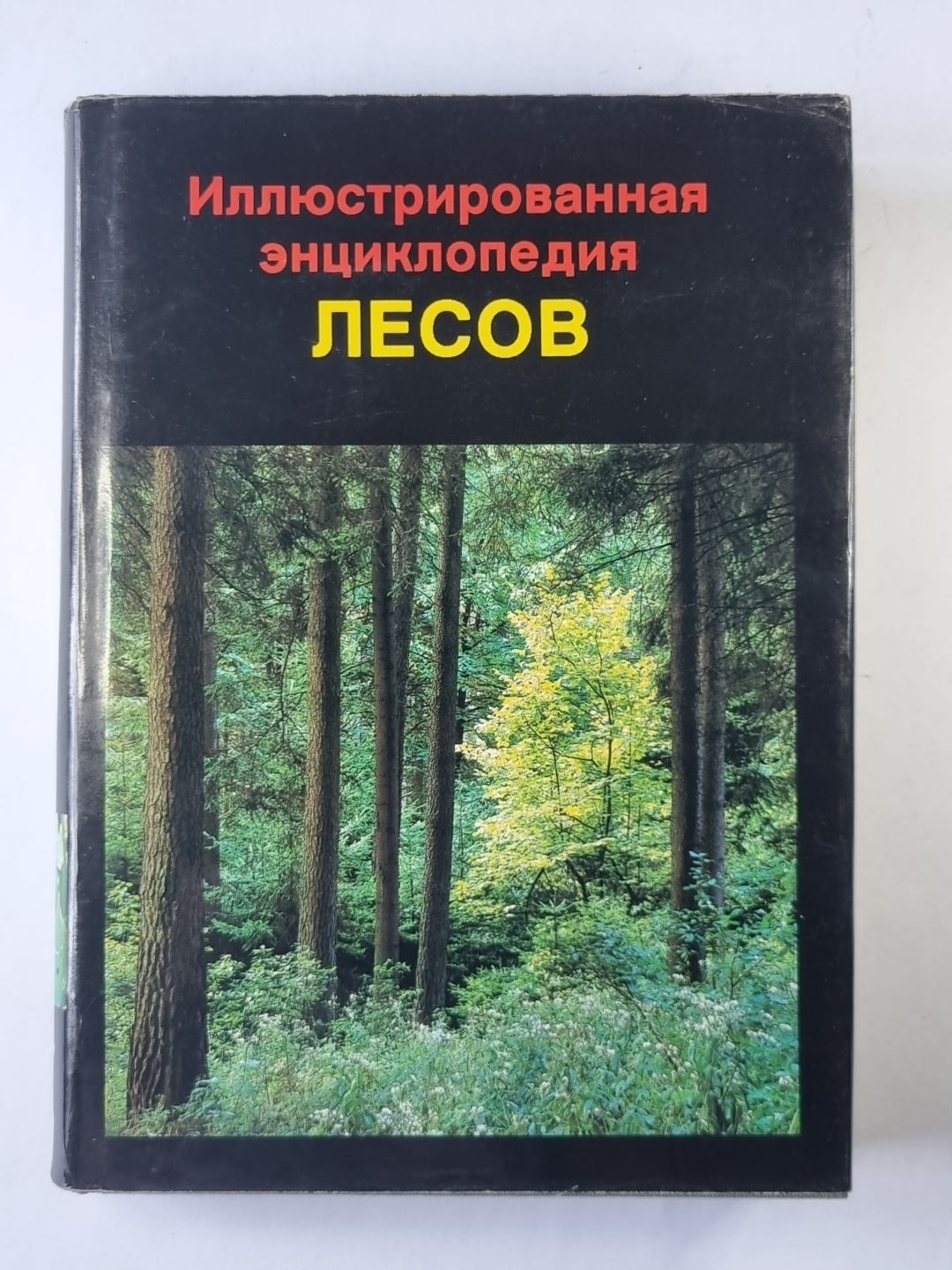 Иллюстрированная энциклопедия лесов