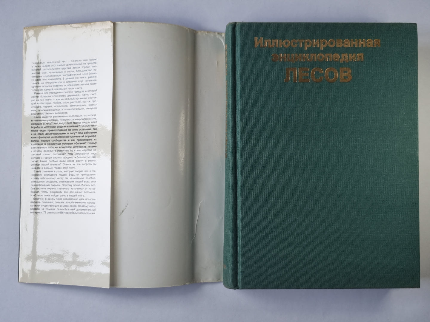 Иллюстрированная энциклопедия лесов