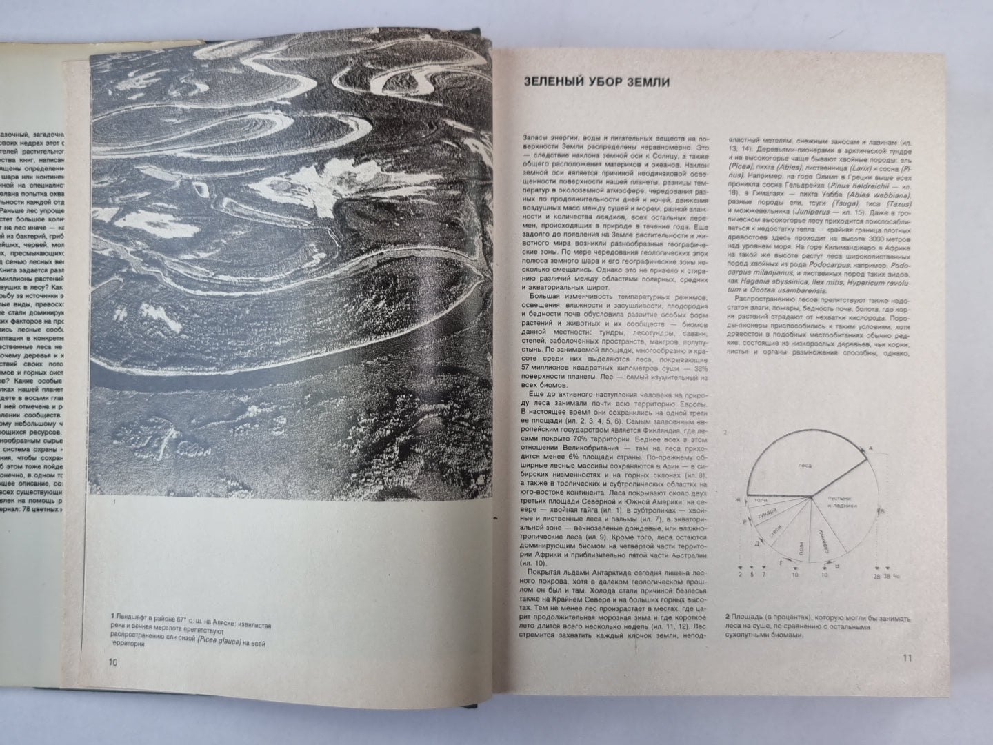 Иллюстрированная энциклопедия лесов