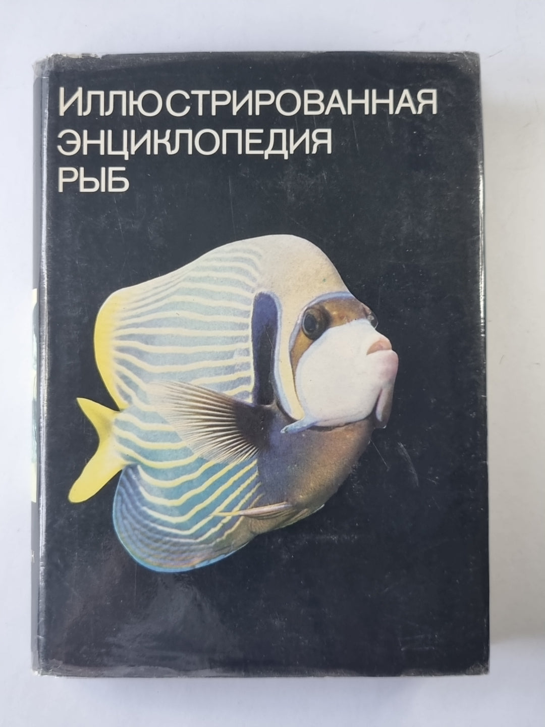 Иллюстрированная энциклопедия рыб