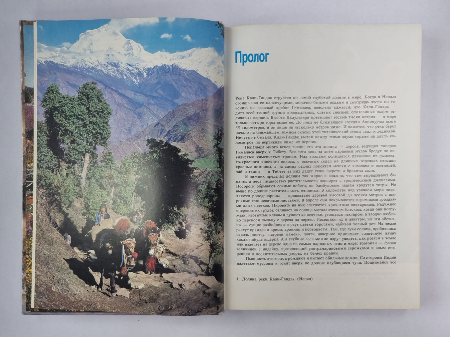 Живая планета