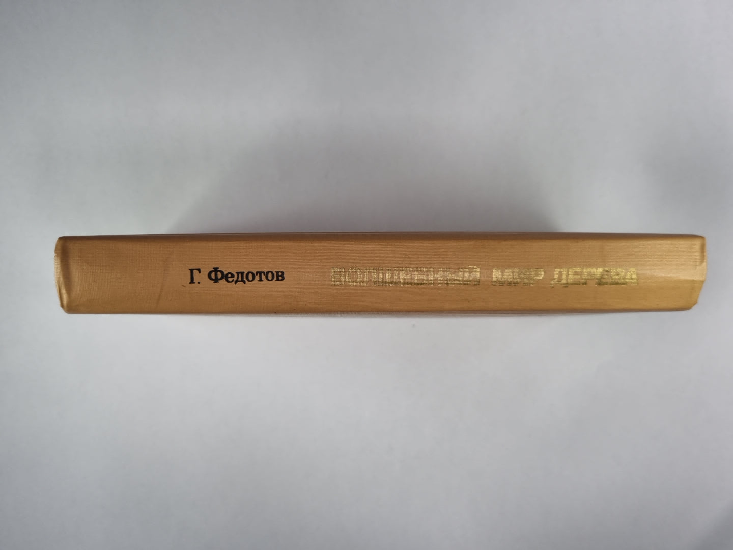 Волшебный мир дерева