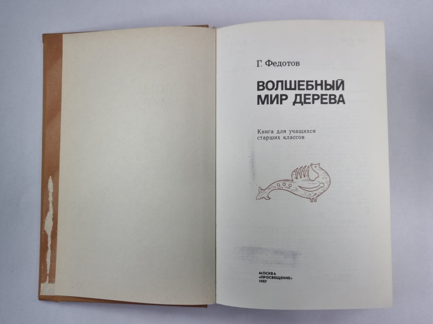 Волшебный мир дерева