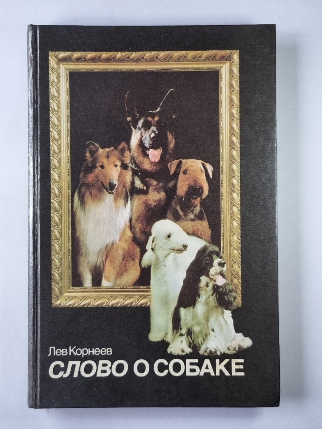 Слово о собаке