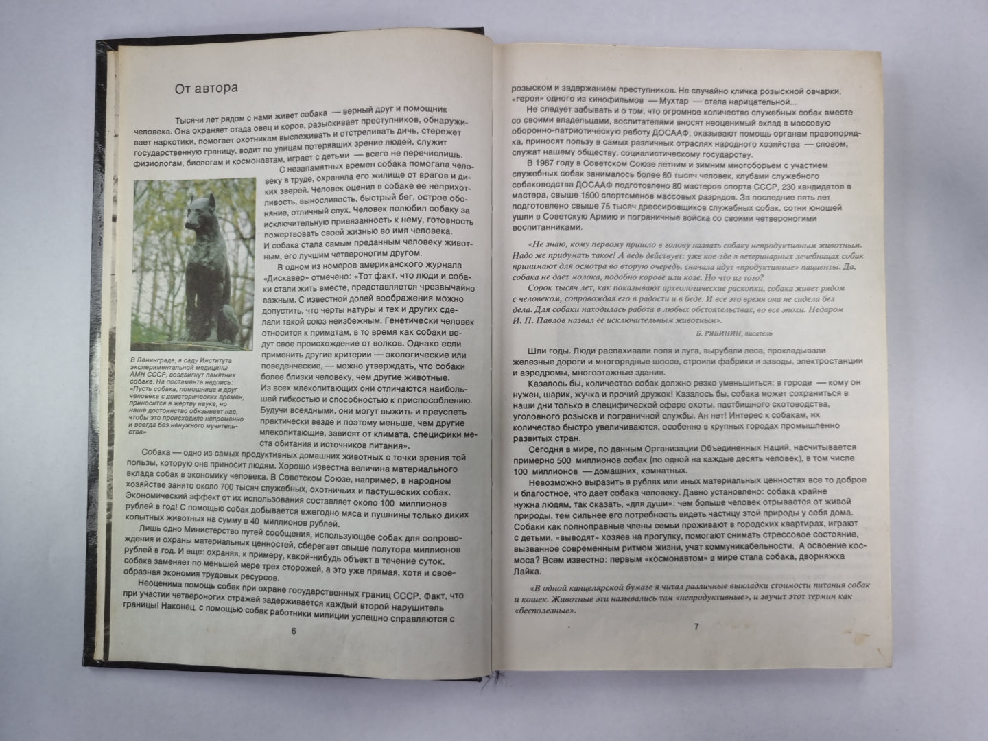 Слово о собаке