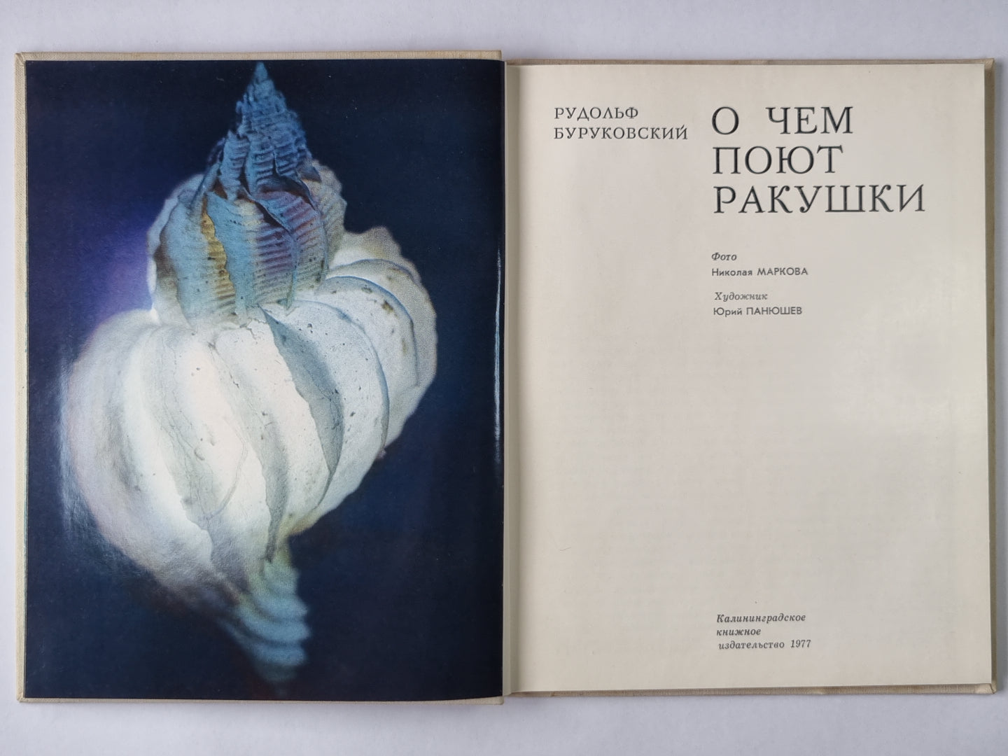 О чем поют ракушки