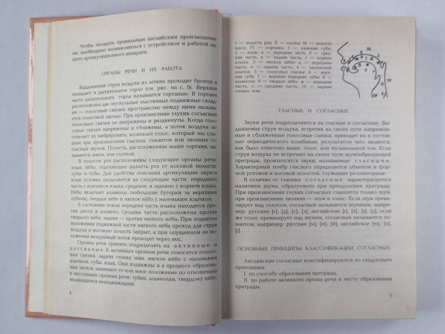 Практический курс английского языка. 1 курс.