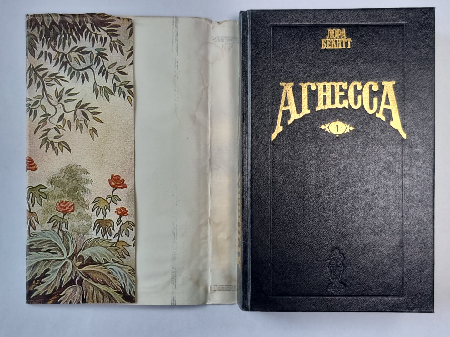 Агнесса. Книга 1