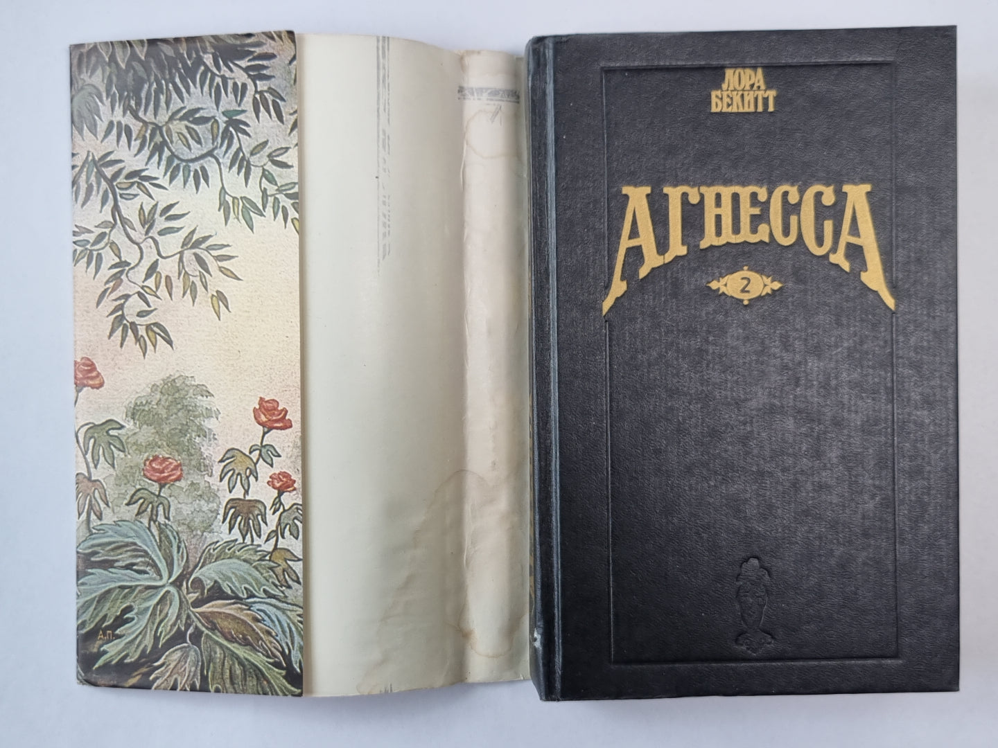 Agnès. Книга 2