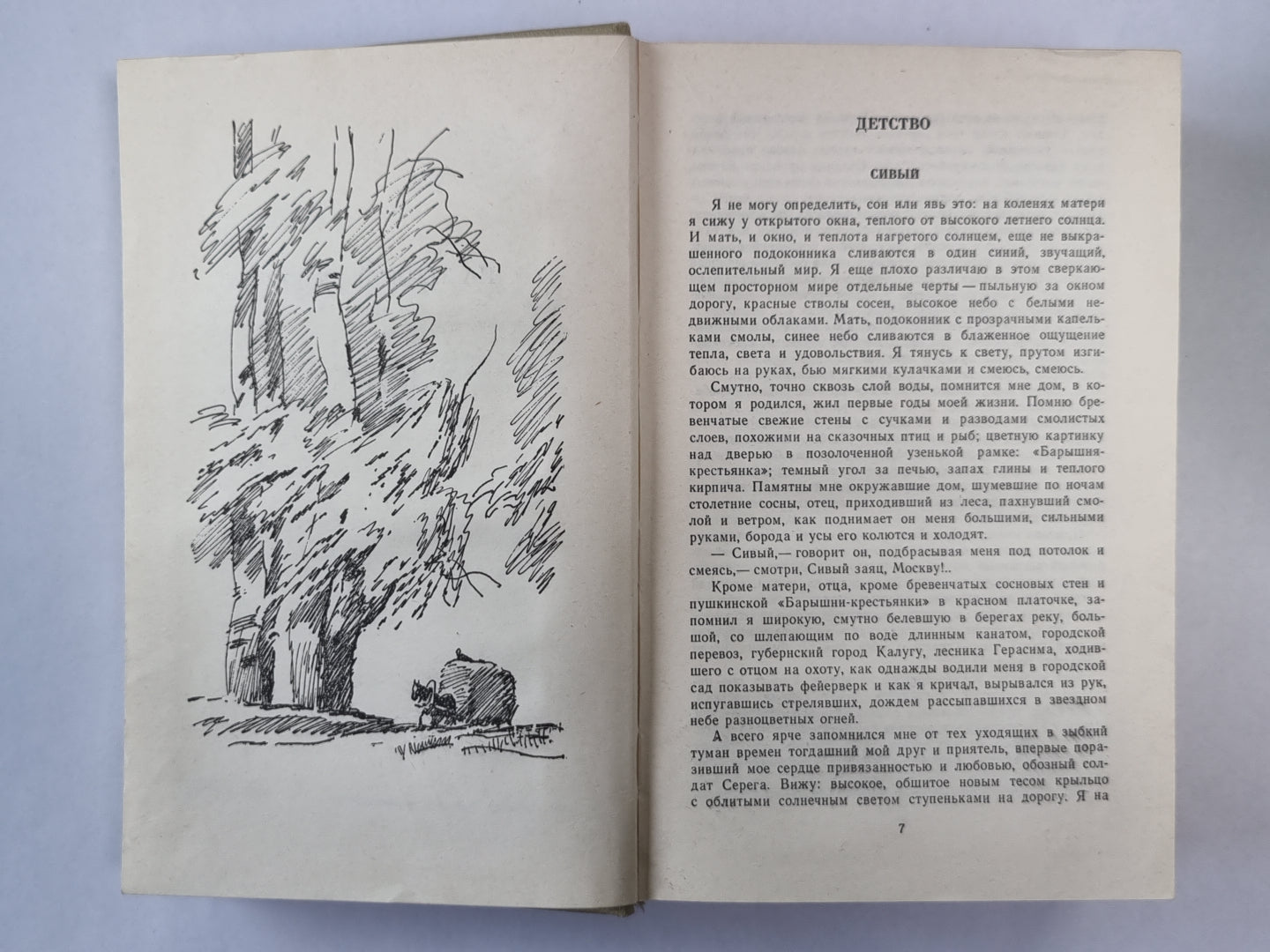 На теплой земле