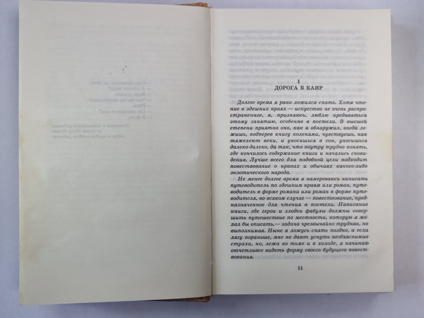 Арабский кошмар. Плоть молитвенных подушек