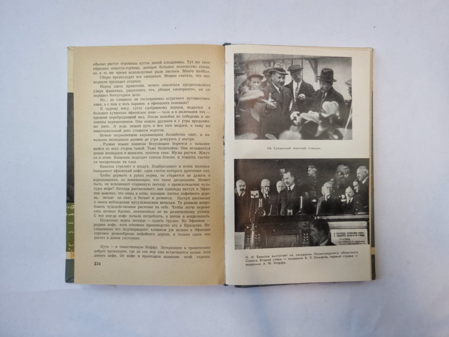 Николай Вавилов (Серия: "Жизнь замечательных людей")