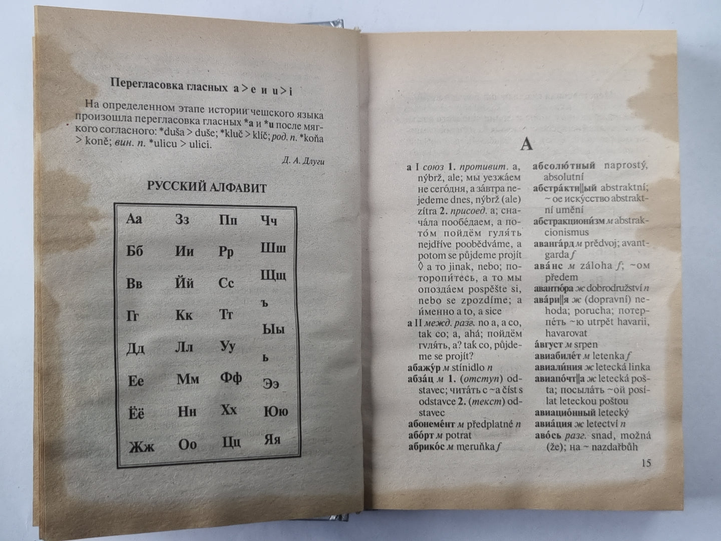 Русско-чешский словарь