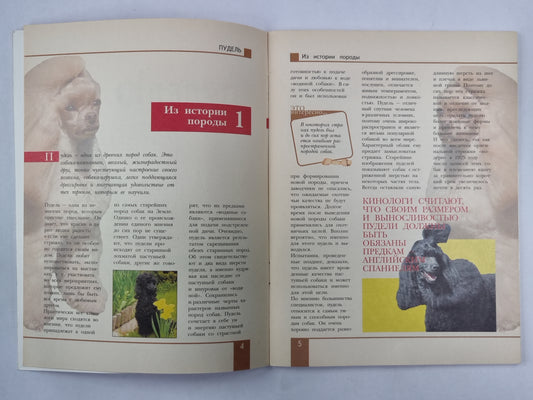 У Архангельского города. Рассказы