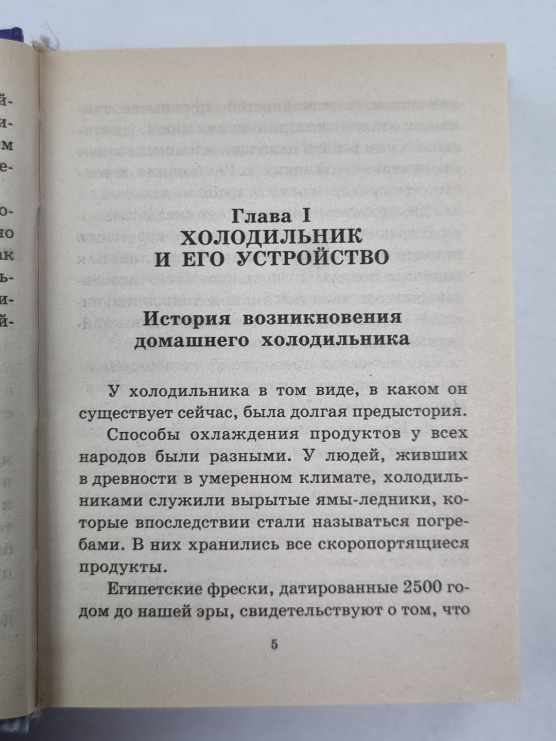 Секреты домашнего холодильника