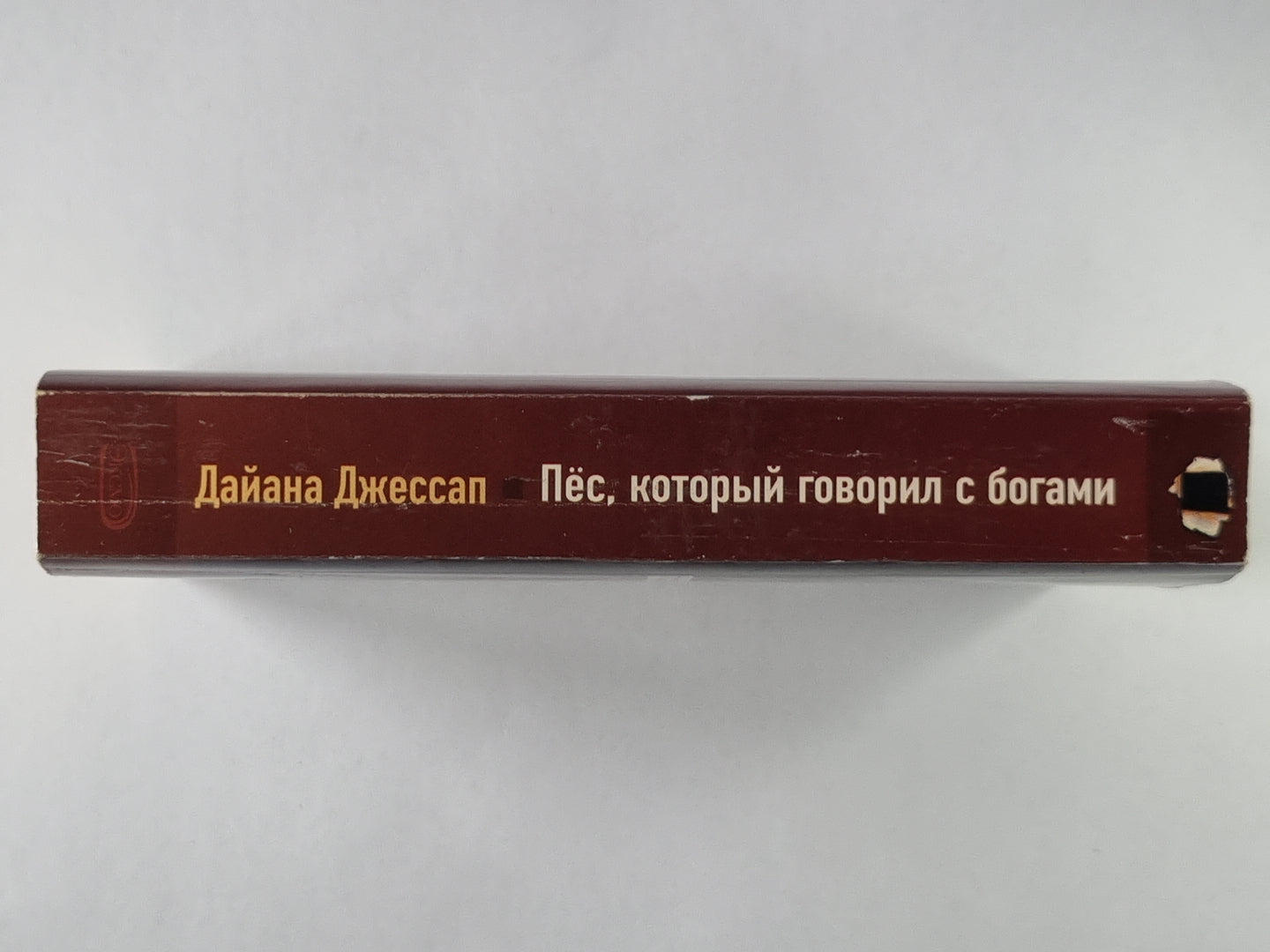 Пёс, который говорил с богами