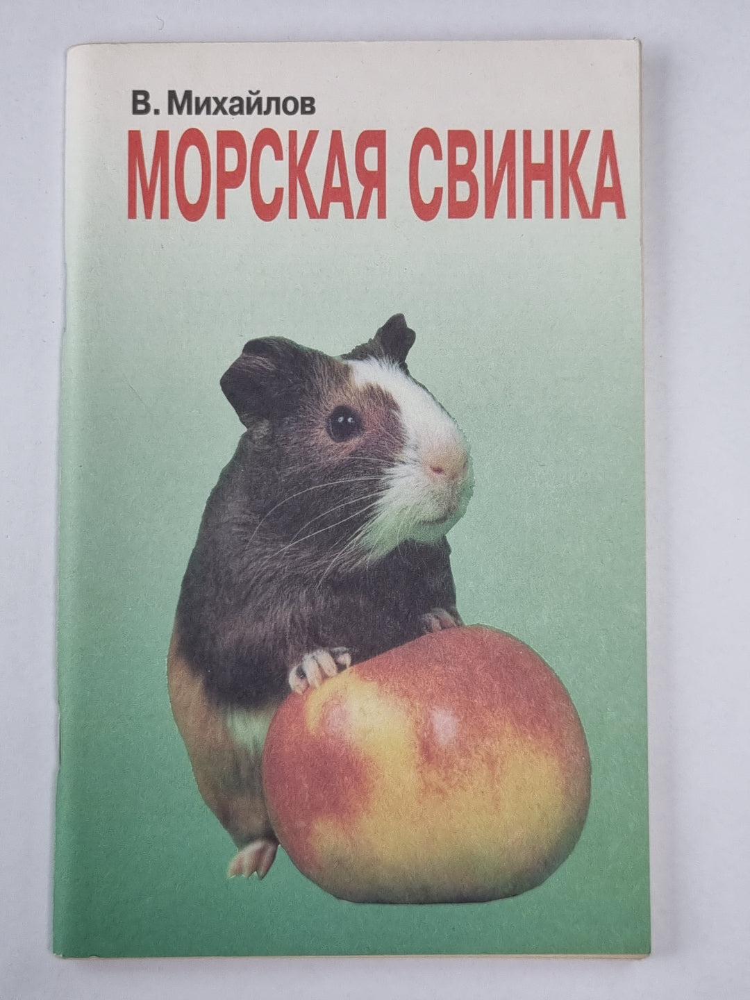 Морская свинка: Животные в нашем доме