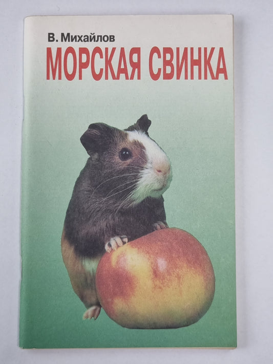 Морская свинка: Животные в нашем доме