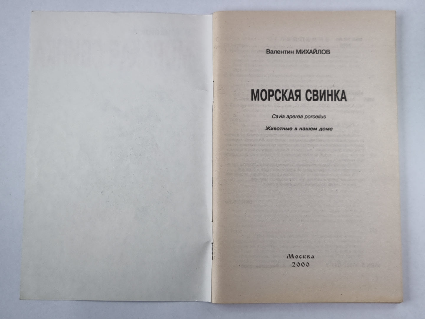 Морская свинка: Животные в нашем доме