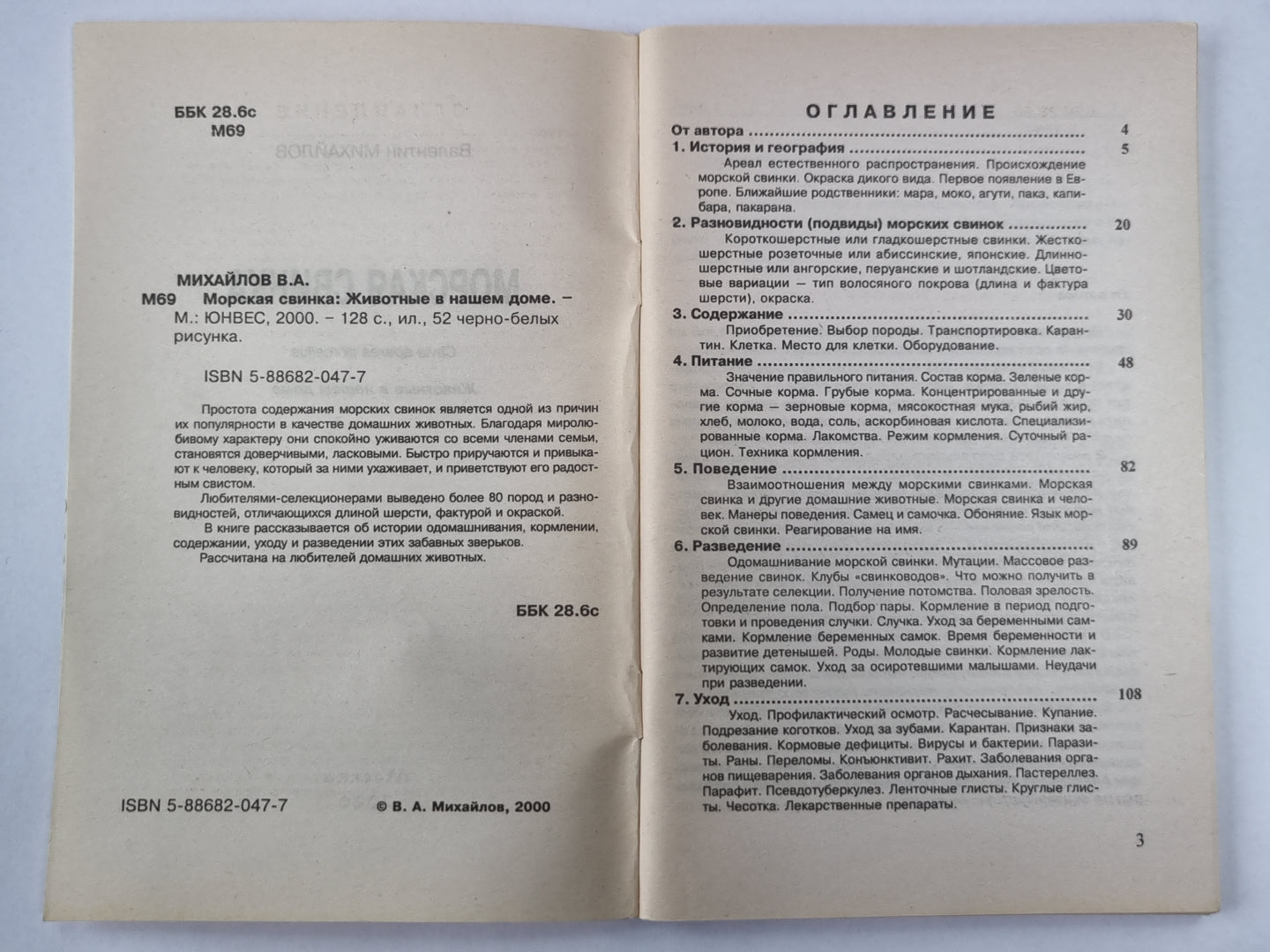 Морская свинка: Животные в нашем доме