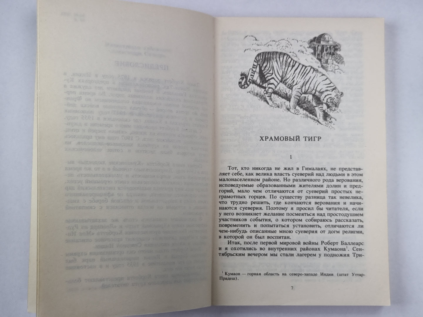 Храмовый тигр