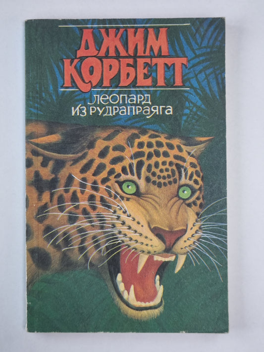 Léopard et Rudraпраяга