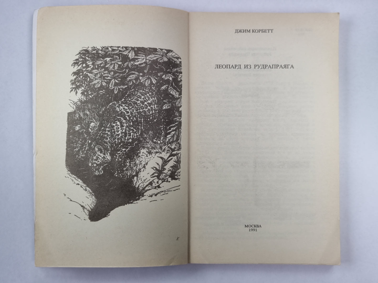 Léopard et Rudraпраяга