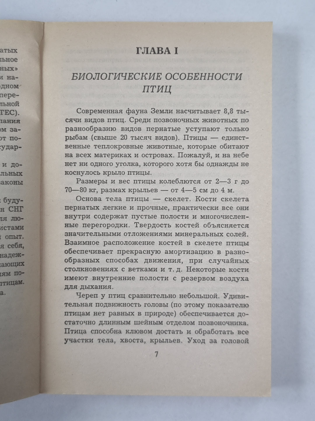 Comment s'occuper des ptitsamis