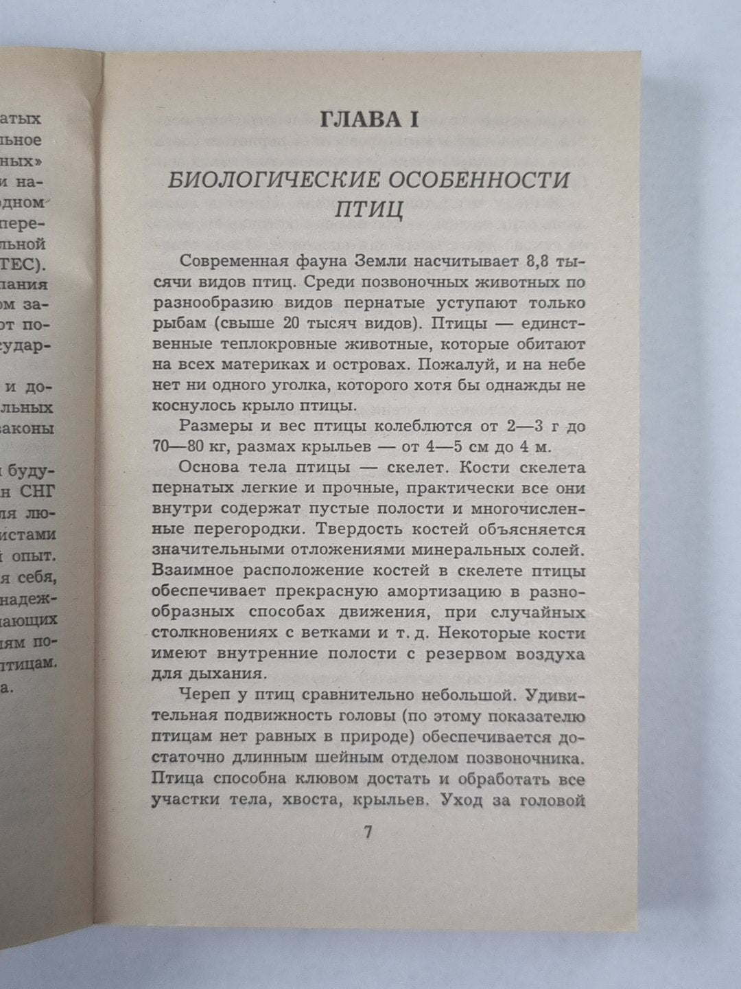 Как ухаживать за птицами