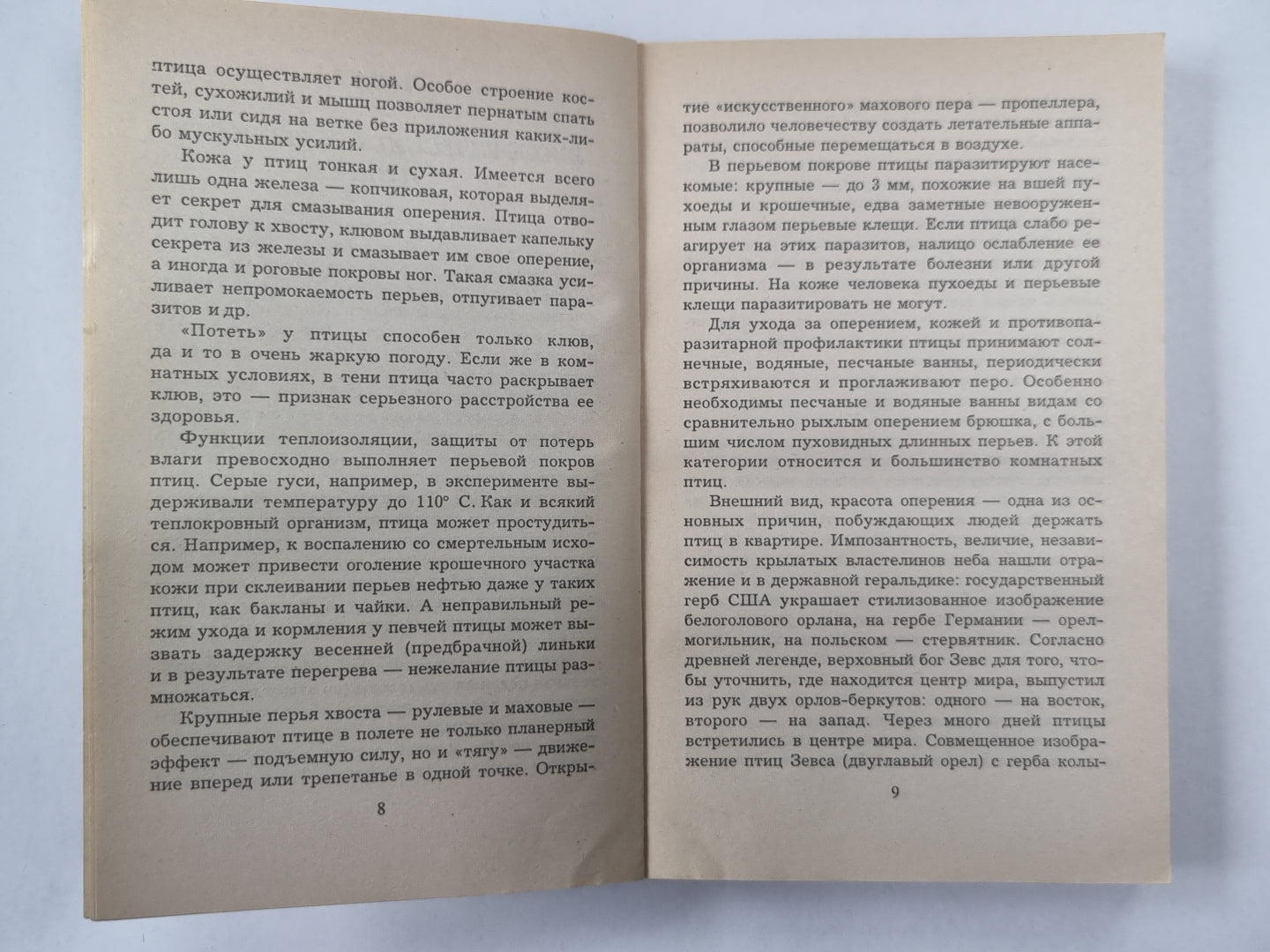 Comment s'occuper des ptitsamis