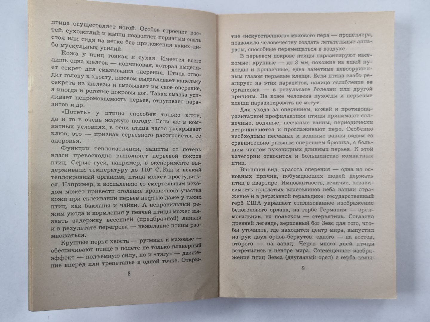 Как ухаживать за птицами