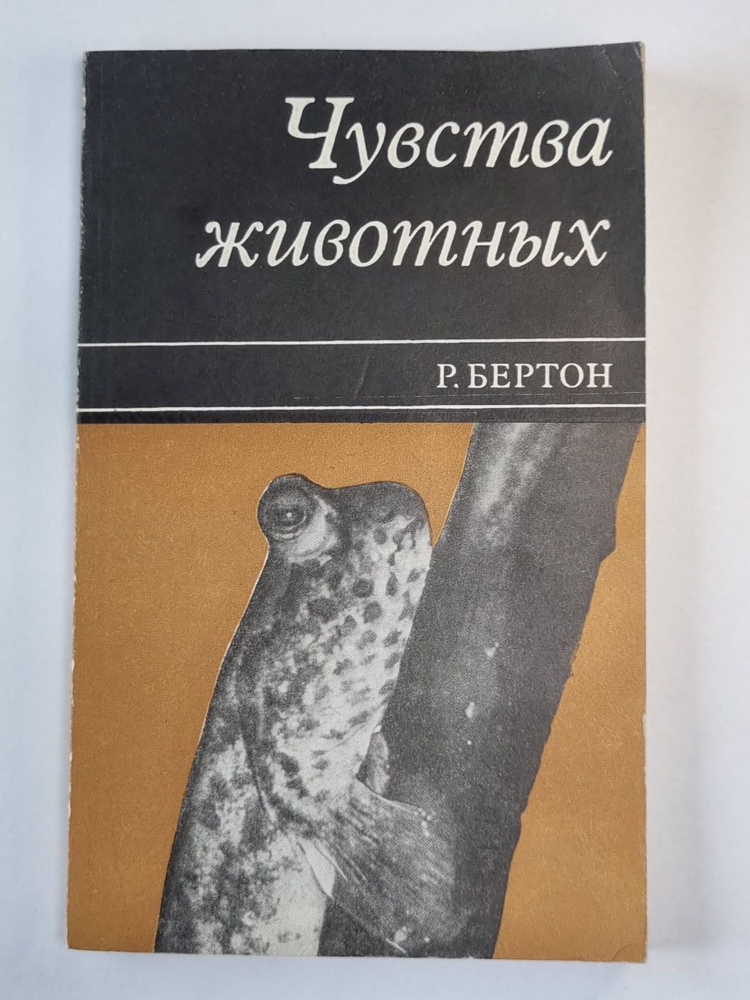 Чувства животных