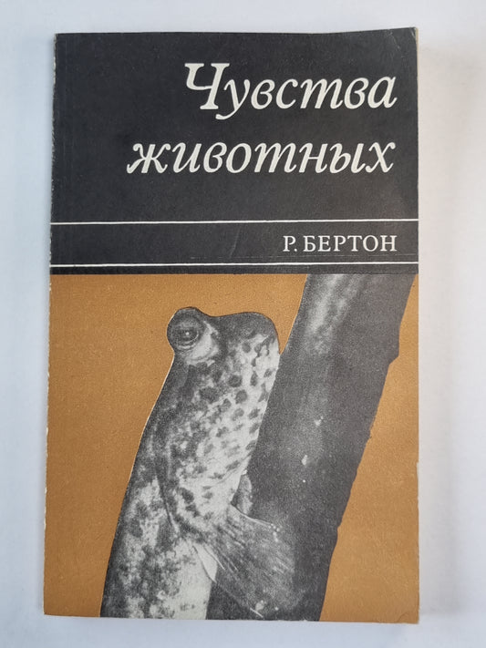 Чувства животных