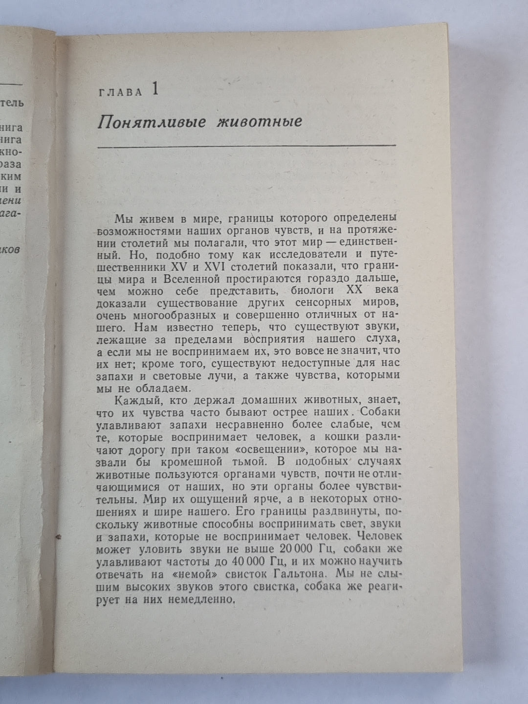 Чувства животных