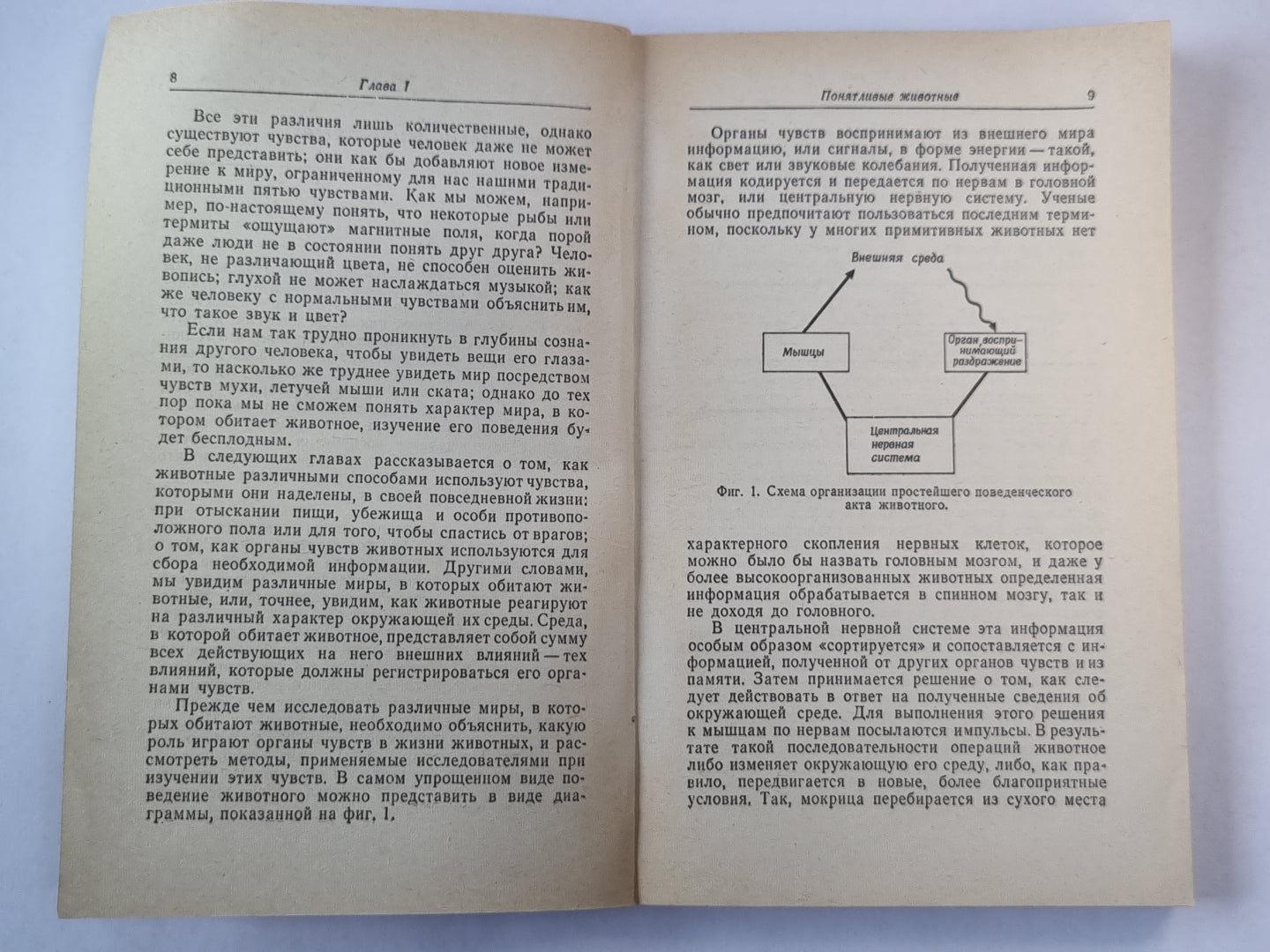 Чувства животных