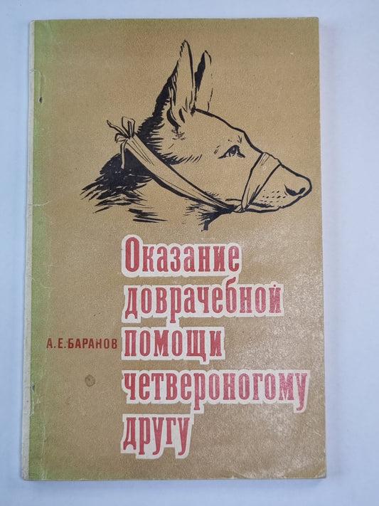Оказание дорачебной помощи четвероному другу