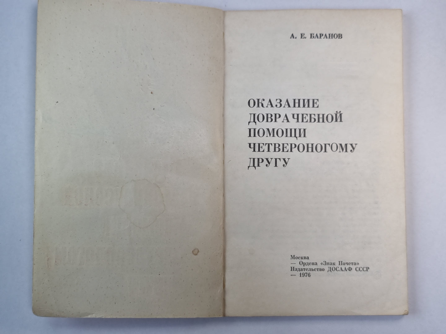Оказание дорачебной помощи четвероному другу