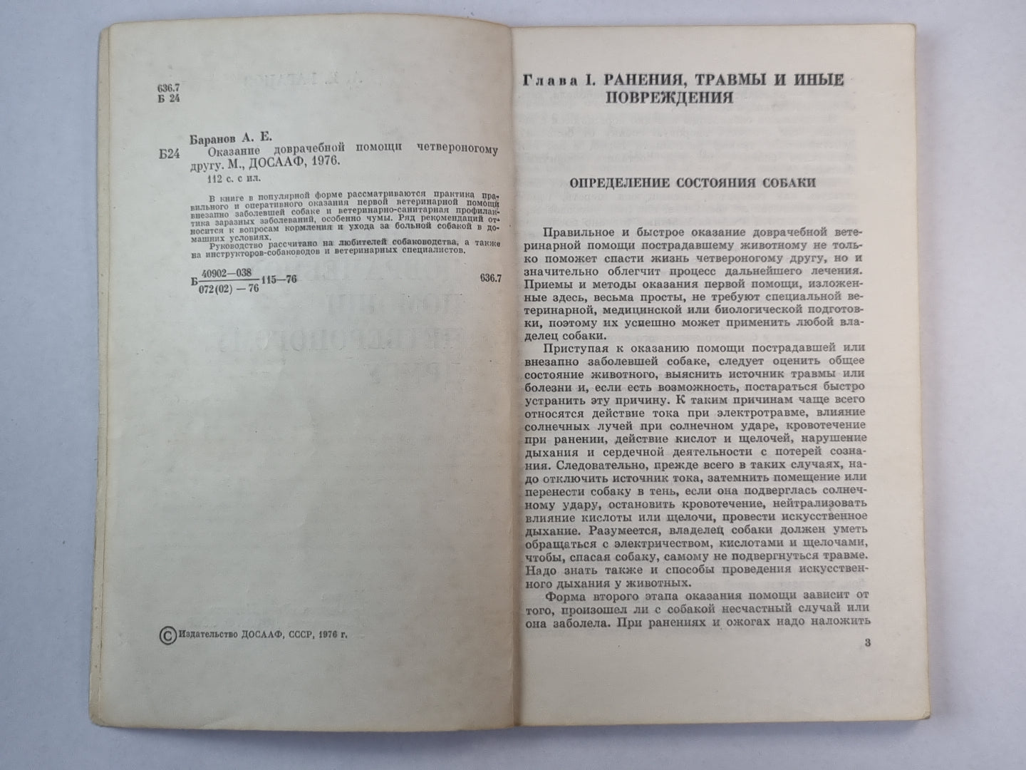 Оказание дорачебной помощи четвероному другу