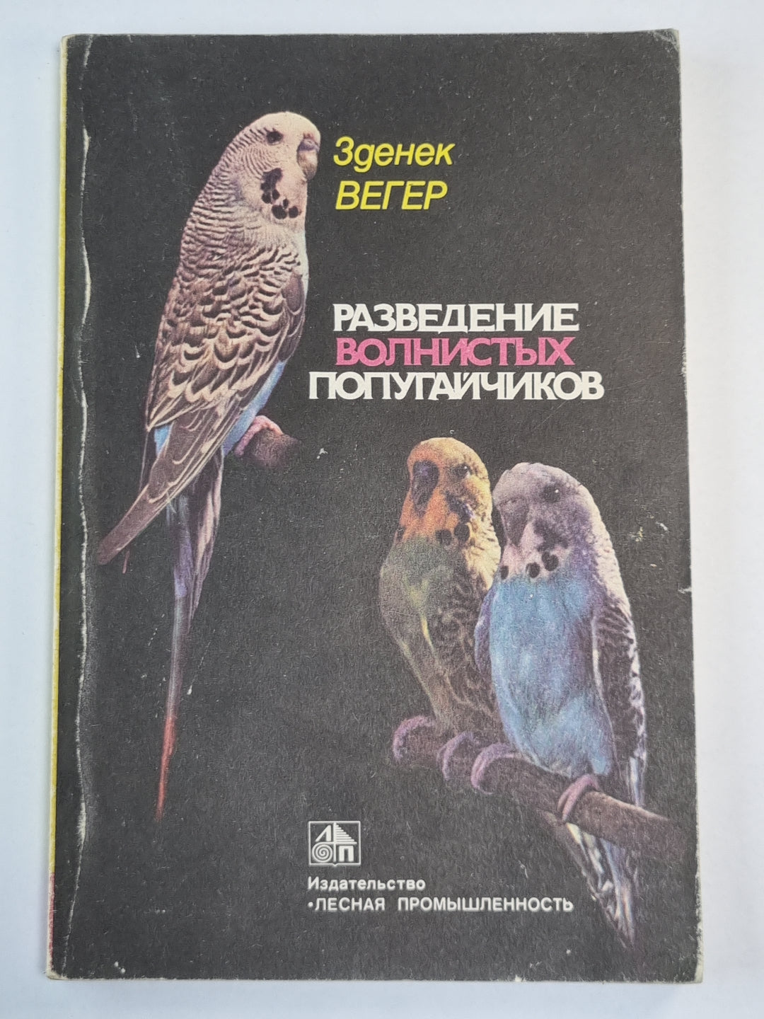 Разведение волнистых попугайчиков