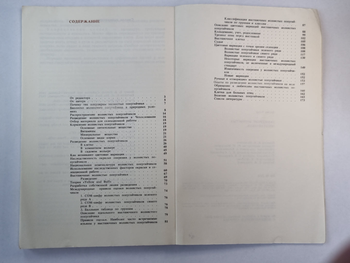 Разведение волнистых попугайчиков