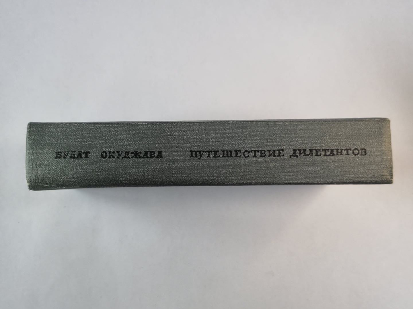 Путешествие дилетантов из записок отставного поручика Амирана Амилахвари