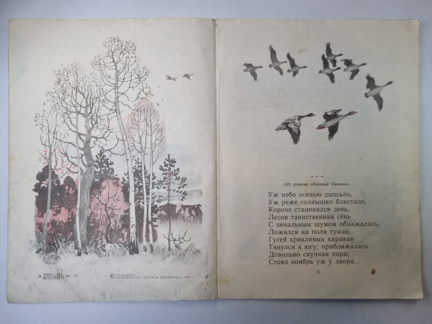 Зимняя дорога