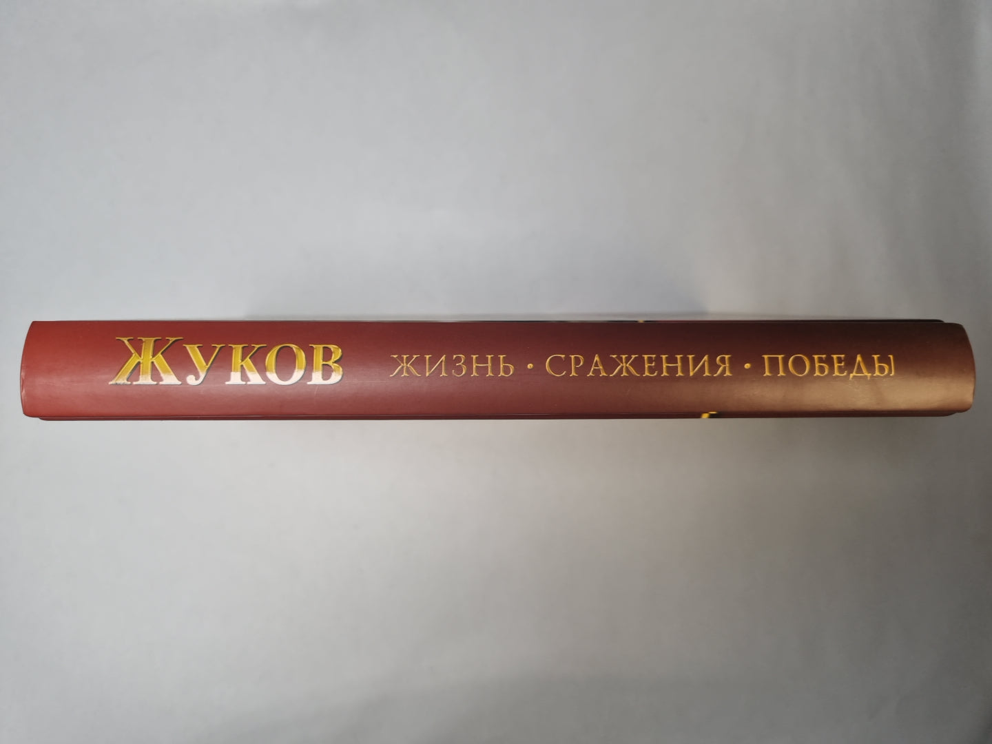 Жуков. Жизнь. Сражения. Победы