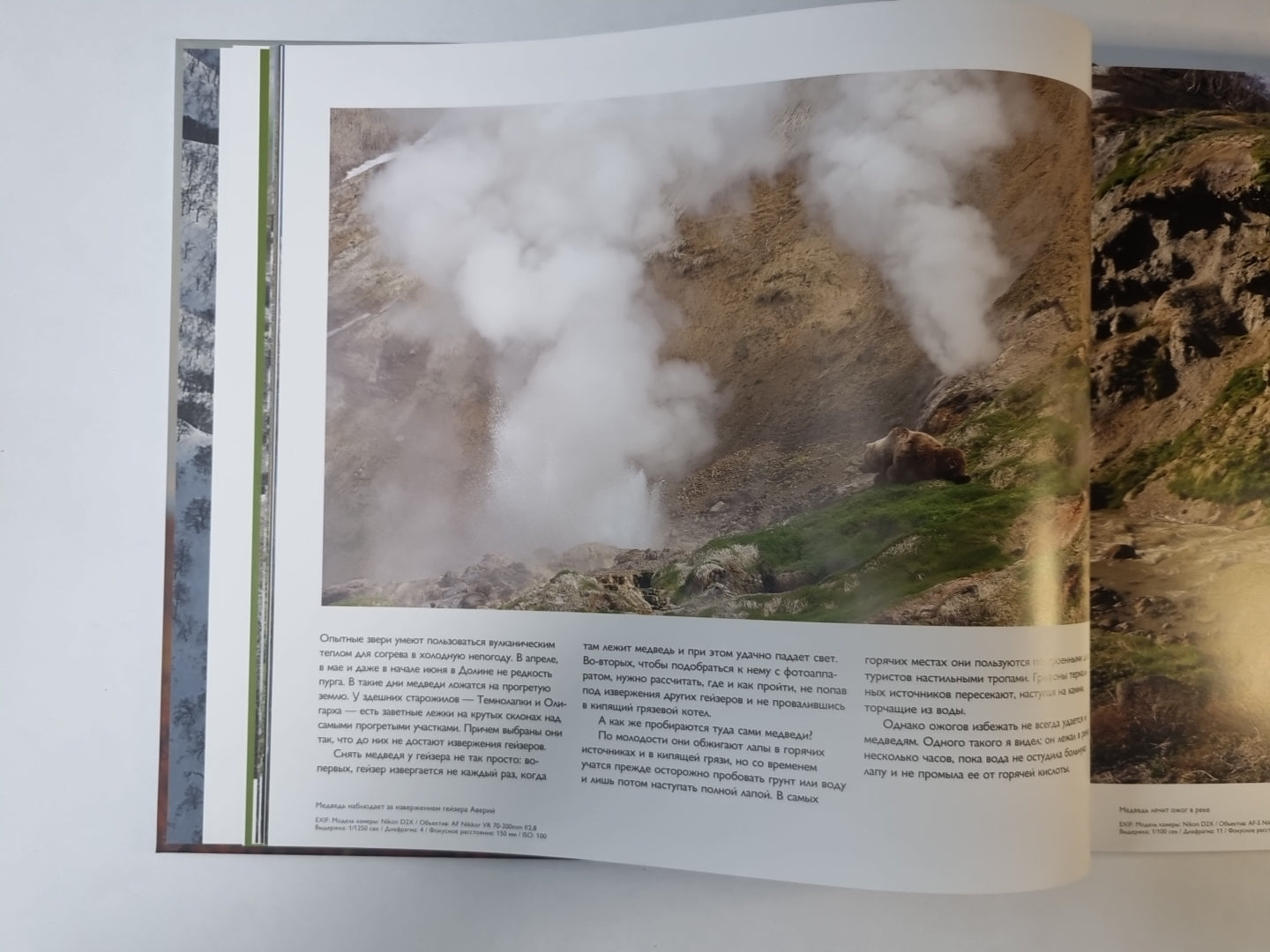 Камчатка, которую я люблю. Истории в кадре и за кадром