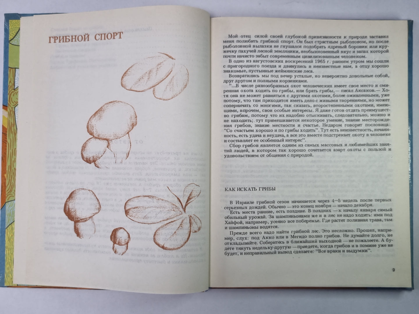 Грибное застолье