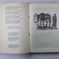Шотландские баллады. Стихотворения. Поэмы. Роберт Бернс