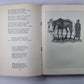 Шотландские баллады. Стихотворения. Поэмы. Роберт Бернс