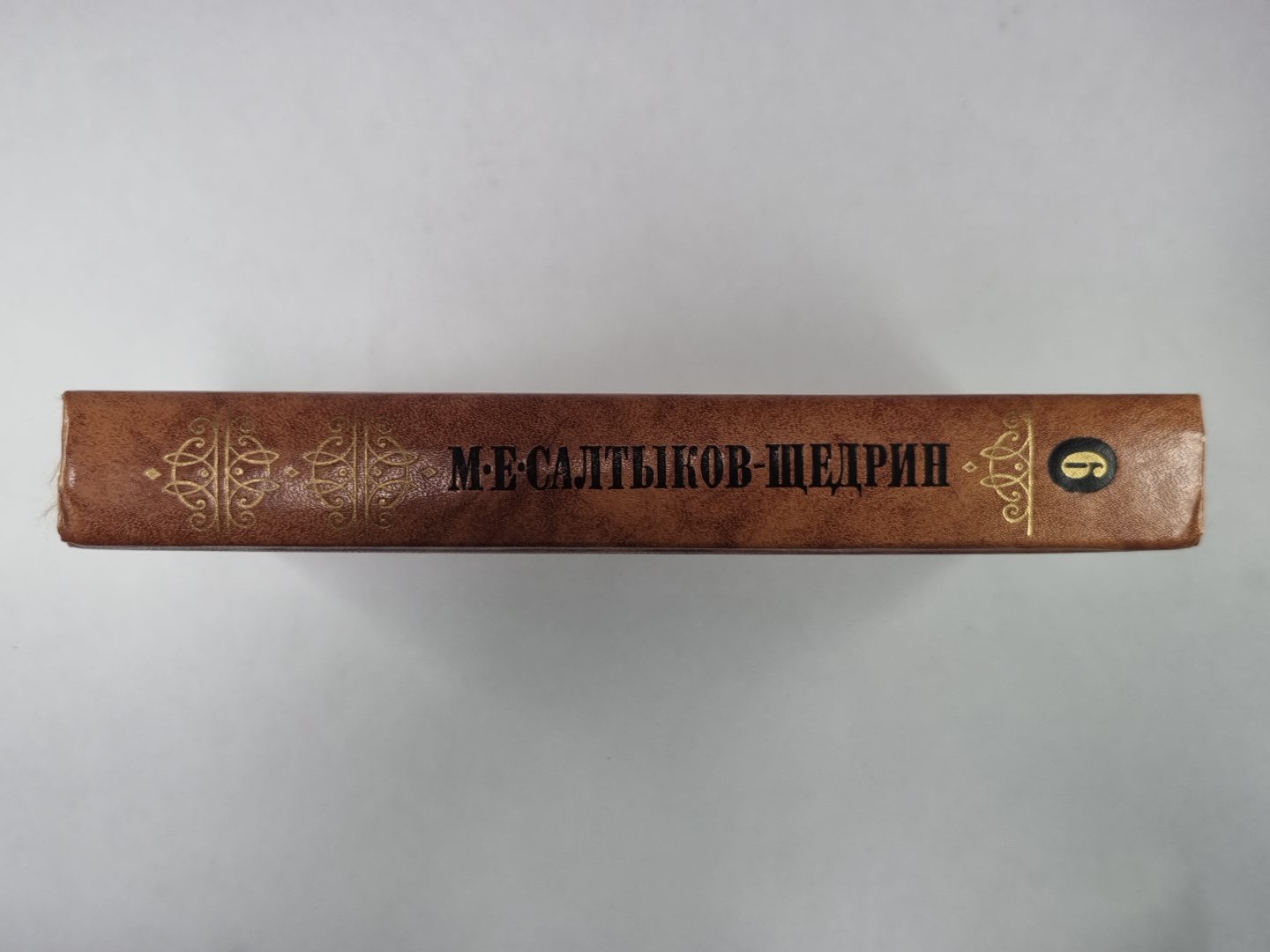 Господа Головлевы. Убежище Монрепо. М.Е.Салтыков-Щедрин. Собрание сочинений в 10-и т. .Том 6